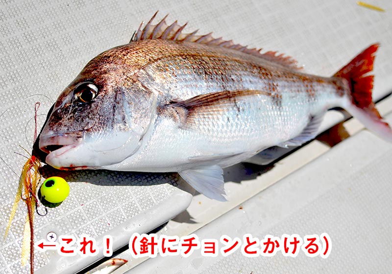 タイラバ用のワームが効果的 玄界灘のっこみ真鯛 玄界灘ベース 九州の釣り